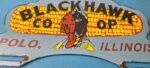 Vintage Blackhawk Sign Topper – Co Op IL Indian Porcelain License Plate Topper - Image 4