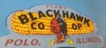 Vintage Blackhawk Sign Topper – Co Op IL Indian Porcelain License Plate Topper - Image 5