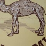Vintage Camel Cigarette Papers Sign – Porcelain Tobacco Gas Pump Plate Sign