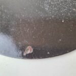 Vintage DX Diamond Motor Oil Sign – Americas Gasoline Outboard Porcelain Sign - Image 8