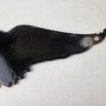 Vintage Harley Davidson Motorcycles Sign – Biker Wings Service Gas Ad Sign - Image 8