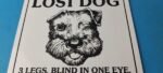 Vintage Lost Dog Porcelain Sign – Wanted Notice Missing Gas Pump Plate Sign - Image 3