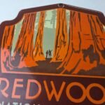Vintage Redwood National Park Sign – CA Gas Service Station Pump Porcelain Sign - Image 3