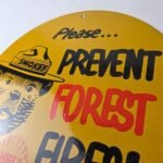 Vintage Shell Gasoline Sign – Smokey Bear Forest Service Gas Porcelain Sign - Image 12