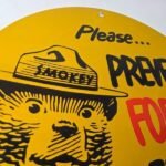 Vintage Shell Gasoline Sign – Smokey Bear Forest Service Gas Porcelain Sign - Image 5
