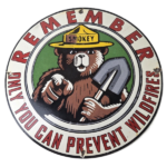 Vintage Smokey Bear Porcelain Sign – Only You Can Prevent Wildfires Sign - Image 2