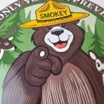 Vintage Smokey Bear Sign – Prevent Forest Prevention Porcelain Gas Sign - Image 3