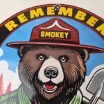 Vintage Smokey Bear Wildfires Sign – Only You, Prevention Gas Porcelain Sign - Image 3