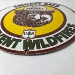 Vintage Smokey Bear Wildfires Sign – Prevention Gas Porcelain Sign - Image 10